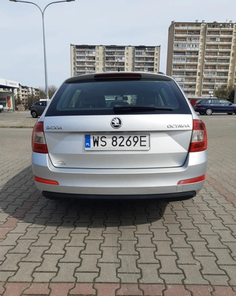 Skoda Octavia cena 45000 przebieg: 181000, rok produkcji 2017 z Siedlce małe 704